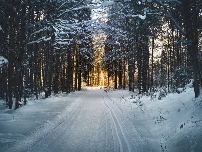 Winterdienst